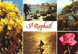 83-SAINT RAPHAEL-N°C4086-D/0111 - Saint-Raphaël