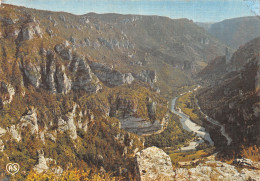 81-LES GORGES DU TARN-N°C4086-C/0117 - Sonstige & Ohne Zuordnung