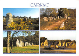 56-CARNAC-N°C4086-B/0161 - Carnac