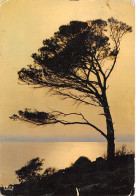 TH-COUCHER DE SOLEIL SUR LA MEDITERRANEE-N°C4087-A/0121 - Andere & Zonder Classificatie