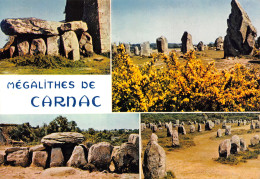 56-CARNAC-N°C4087-D/0145 - Carnac