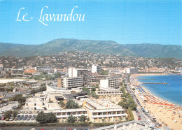 83-LE LAVANDOU-N°C4087-C/0207 - Le Lavandou