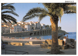 66-BANYULS-N°C4087-B/0353 - Banyuls Sur Mer