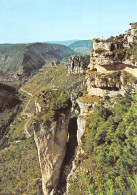 48-GORGES DE LA JONTE-N°C4088-C/0021 - Altri & Non Classificati