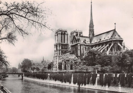 75-PARIS CATHEDRALE NOTRE DAME-N°C4089-A/0197 - Sonstige & Ohne Zuordnung