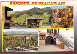 69-LE BEAUJOLAIS-N°C4089-D/0363 - Autres & Non Classés