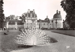 36-VALENCAY LE CHATEAU-N°C4089-C/0389 - Autres & Non Classés