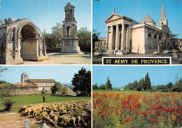 13-SAINT REMY DE PROVENCE-N°C4089-C/0045 - Saint-Remy-de-Provence