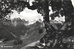 11758682 Braunwald GL  Braunwald - Other & Unclassified