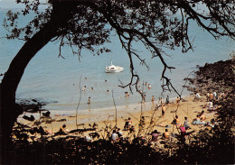 17-ILE D AIX BABY PLAGE-N°C4090-B/0241 - Sonstige & Ohne Zuordnung