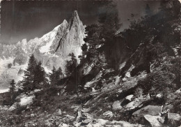 74-CHAMONIX-N°C4091-B/0223 - Chamonix-Mont-Blanc