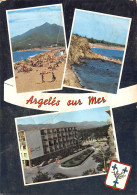66-ARGELES SUR MER-N°C4091-A/0309 - Argeles Sur Mer