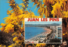 06-JUAN LES PINS-N°C4091-D/0251 - Juan-les-Pins