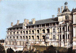 41-BLOIS-N°C4091-D/0101 - Blois