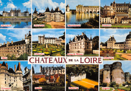 41-LES CHATEAUX DE LA LOIRE-N°C4091-D/0075 - Other & Unclassified