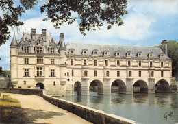 37-CHENONCEAUX-N°C4091-C/0337 - Chenonceaux