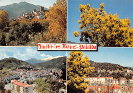 66-AMELIE LES BAINS PALALDA-N°C4092-D/0195 - Autres & Non Classés