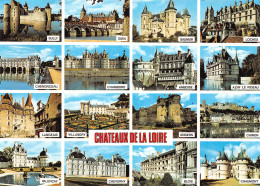 41-CHATEAUX DE LA LOIRE-N°C4093-C/0357 - Sonstige & Ohne Zuordnung