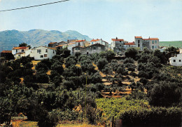 66-BANYULS SUR MER-N°C4094-B/0235 - Banyuls Sur Mer