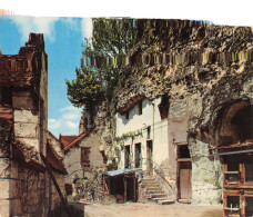 41-TOURAINE MAISON TROGLODYTE -N°C4094-D/0211 - Sonstige & Ohne Zuordnung