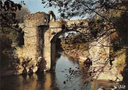 9-LE PONT DU DIABLE-N°C4094-D/0005 - Altri & Non Classificati