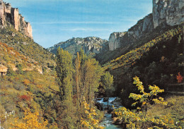 48-GORGES DE LA JONTE-N°C4095-A/0275 - Sonstige & Ohne Zuordnung