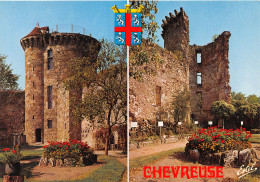 78-CHEVREUSE LE CHATEAU DE LA MADELEINE-N°C4095-A/0173 - Chevreuse