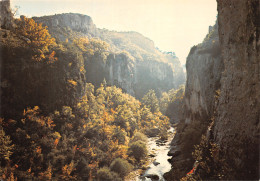 84-LE GORGES D OPPEDETTE-N°C4095-D/0393 - Sonstige & Ohne Zuordnung