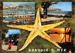 66-BANYULS-N°C4095-D/0323 - Banyuls Sur Mer