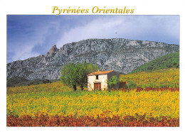 65-LES PYRENEES ORIENTALES-N°C4095-D/0259 - Andere & Zonder Classificatie