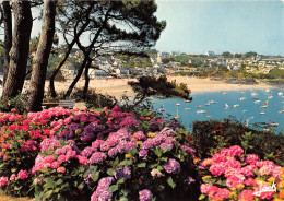 35-CANCALE-N°C4095-C/0269 - Cancale