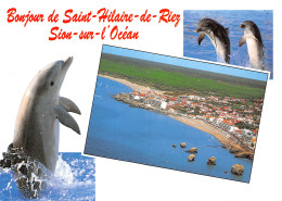 85-SAINT HILAIRE DE RIEZ SION SUR L OCEAN-N°C4096-C/0135 - Saint Hilaire De Riez