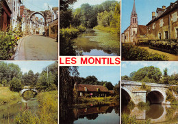 41-LES MONTILS-N°C4096-B/0279 - Sonstige & Ohne Zuordnung