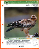 AIGLE IMPERIAL Oiseau Illustrée Documentée  Animaux Oiseaux Fiche Dépliante - Animals