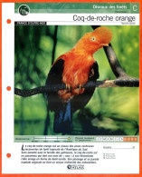 COQ DE ROCHE ORANGE Oiseau Illustrée Documentée  Animaux Oiseaux Fiche Dépliante - Dieren