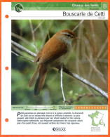 BOUSCARLE DE CETTI Oiseau Illustrée Documentée  Animaux Oiseaux Fiche Dépliante - Dieren