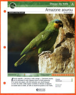 AMAZONE AOUROU Oiseau Illustrée Documentée  Animaux Oiseaux Fiche Dépliante - Animals