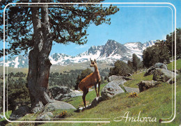 ET-VALLS D ANDORRA ENVALIRA-N°C4096-D/0327 - Andorre