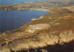 29-LA POINTE DU RAZ-N°C4097-B/0247 - La Pointe Du Raz