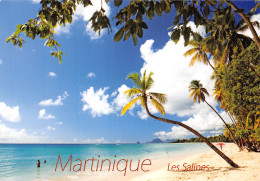 972-MARTINIQUE SAINTE ANNE PLAGE DES SALINES-N°C4097-D/0363 - Autres & Non Classés