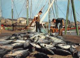 44-COTE ATLANTIQUE DEBARQUEMENT DES THONS-N°C4097-D/0247 - Autres & Non Classés