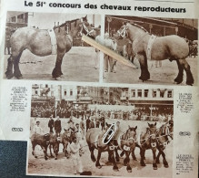1946 / LE 51e CONCOURS DES CHEVEAUX REPRODUCTEURS / M. DESTEXHE De JEHAY-BODEGNÉE (LIÉGE) M. ANCION De HÉRON ( LIÉGE) - Zonder Classificatie