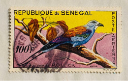 Sénégal YT N° 32 Poste Aérienne Oblitéré - Senegal (1960-...)