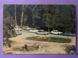 78    CPSM   Château De THOIRY-EN-YVELINES    Voitures Peugeot, Citroën, Renault…..    Bon état - Thoiry