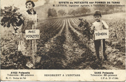 5P1  ---  82  VAZERAC  Effet Du Potazote Sur Pommes De Terre - Leygues, Ingénieur Agricole - Autres & Non Classés