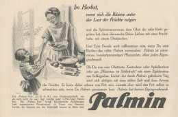 PALMIN - Illustrazione - Pubblicità D'epoca - 1927 Old Advertising - Publicités