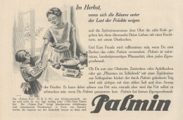 PALMIN - Illustrazione - Pubblicità D'epoca - 1927 Old Advertising - Werbung