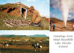 73603907 Myvatn Hotel Reynihlid Lake Myvatn Hot Springs Horses Fishing Myvatn - Island