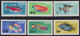 F-EX50191 GERMANY DDR MNH 1966 AQUARIUS FISH PECES. - Pesci