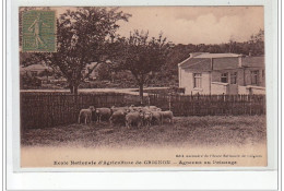 Ecole Nationale D'Agriculture De GRIGNON - Agneaux Au Pâturage - Très Bon état - Grignon